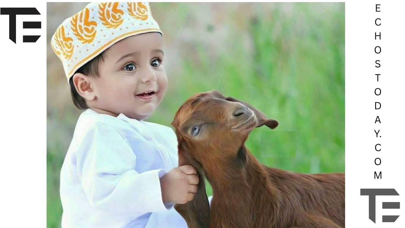 For Eid al-Azha 2025 Government Declares Four-Day Public Holiday